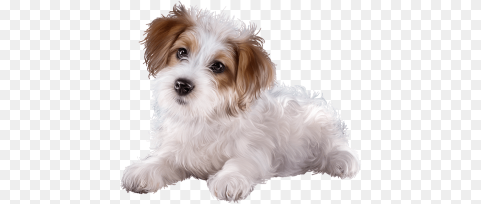 Cute Clipartpuppy Dog, Animal, Canine, Mammal, Pet Png