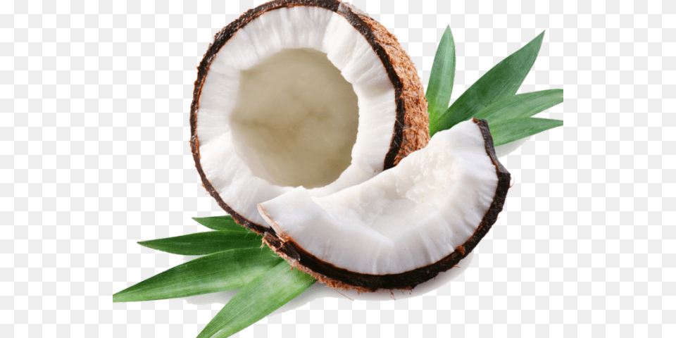 Cute Coconut Background, Food, Fruit, Plant, Produce Png Image