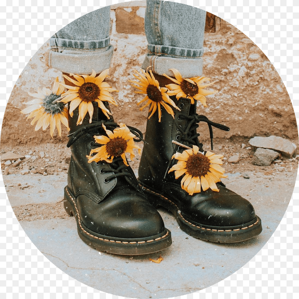 Cute Cool Vibe Mood Tumblr Aesthetic Sunflower Vintage Aesthetic Flower Backgrounds, Photography, Clothing, Footwear, Shoe Png