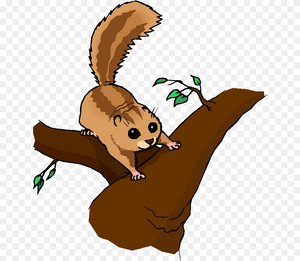 Cute Cougar Clip Art Chipmunk In Tree Clipart, Baby, Person, Animal, Mammal Free Transparent Png