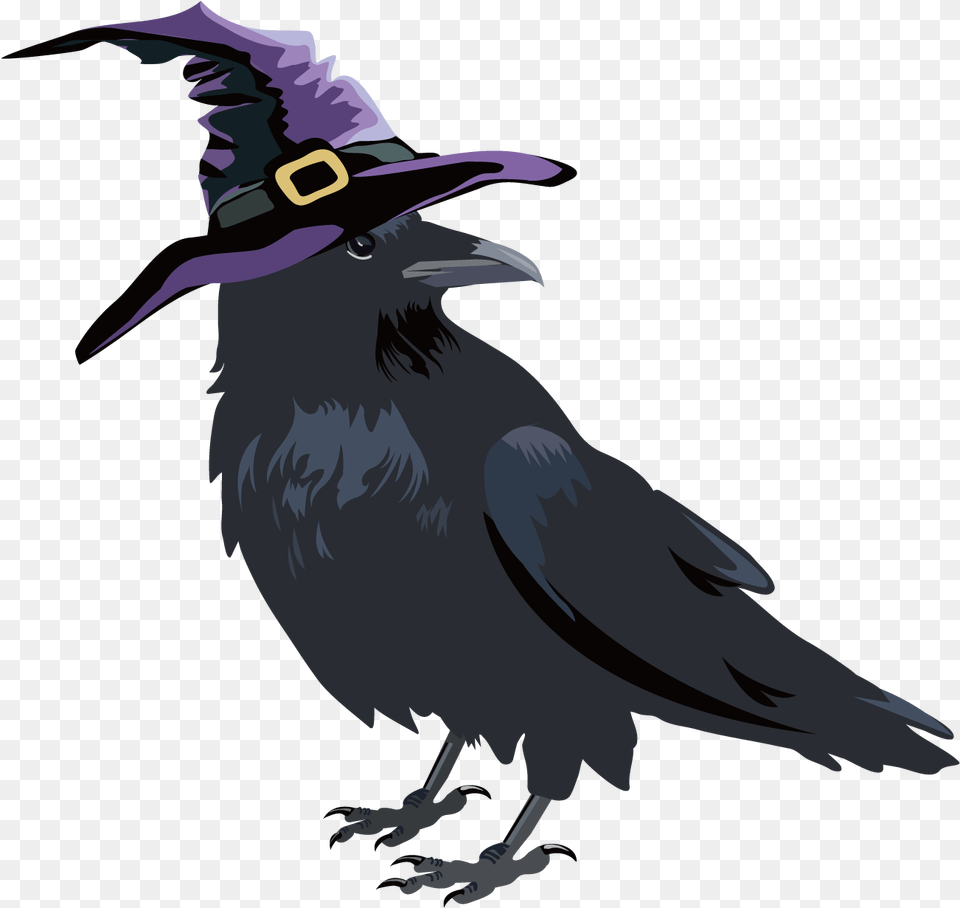 Cute Crow Clipart Halloween Crows, Animal, Beak, Bird, Blackbird Free Transparent Png