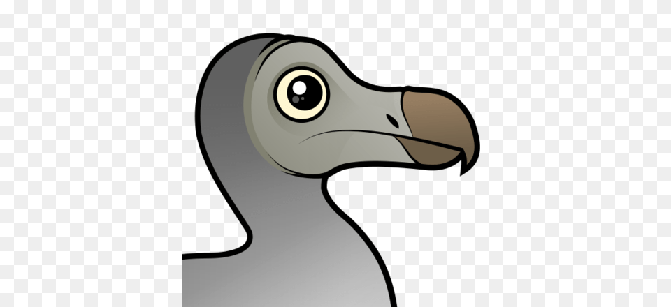 Cute Dodo, Animal, Beak, Bird, Appliance Png Image