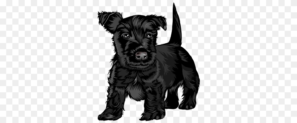 Cute Dog Clipart With Black Background Collection, Animal, Canine, Mammal, Pet Free Png Download
