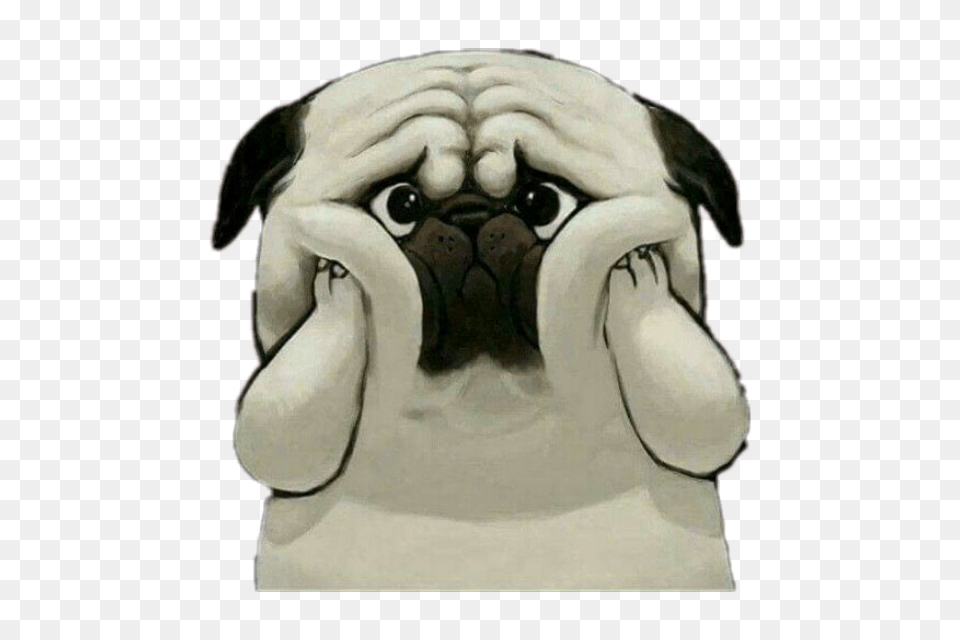 Cute Dog Sad Shocked, Person, Animal, Canine, Mammal Free Transparent Png