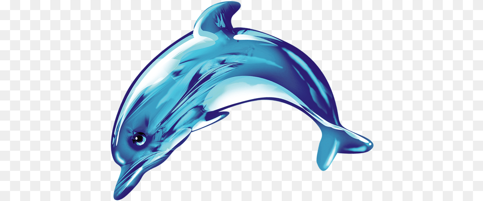 Cute Dolphin Dolphin Cute, Animal, Mammal, Sea Life, Appliance Free Png