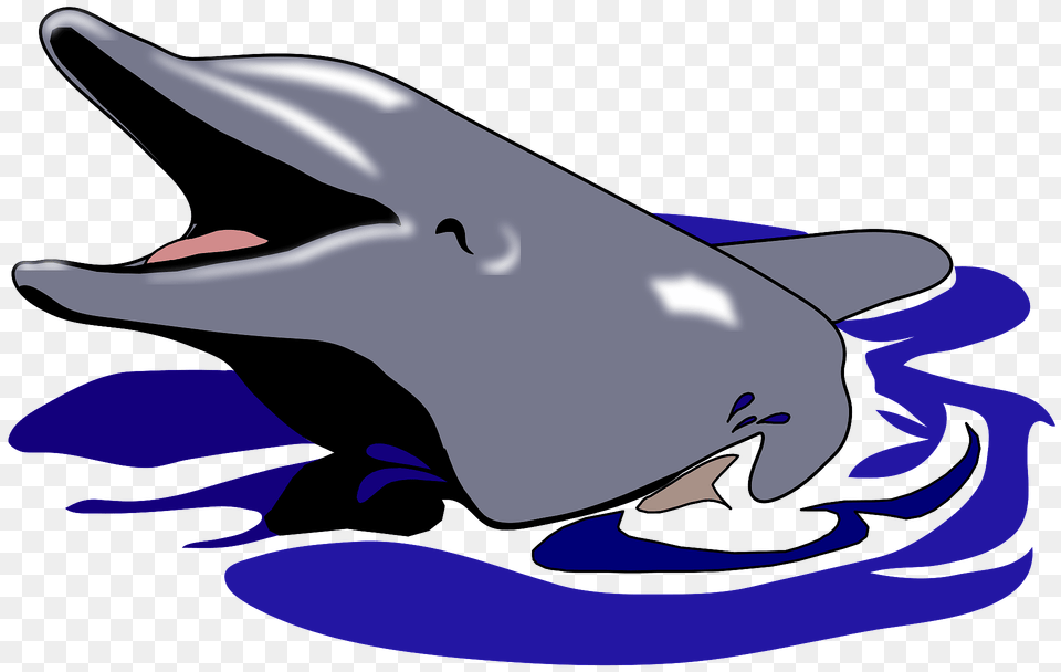 Cute Dolphin In Water Clipart, Animal, Mammal, Sea Life, Fish Free Transparent Png