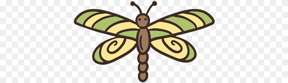 Cute Dragon Fly Insect Insects, Animal, Dragonfly, Invertebrate Free Png