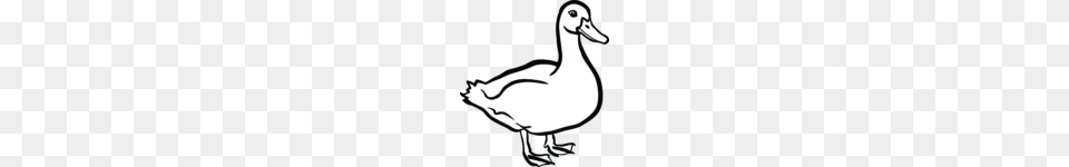 Cute Duck Clipart Clip Art, Animal, Bird, Smoke Pipe Png Image