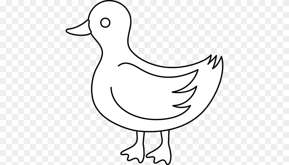 Cute Duck Line Art, Stencil, Animal, Bird, Fish Free Transparent Png