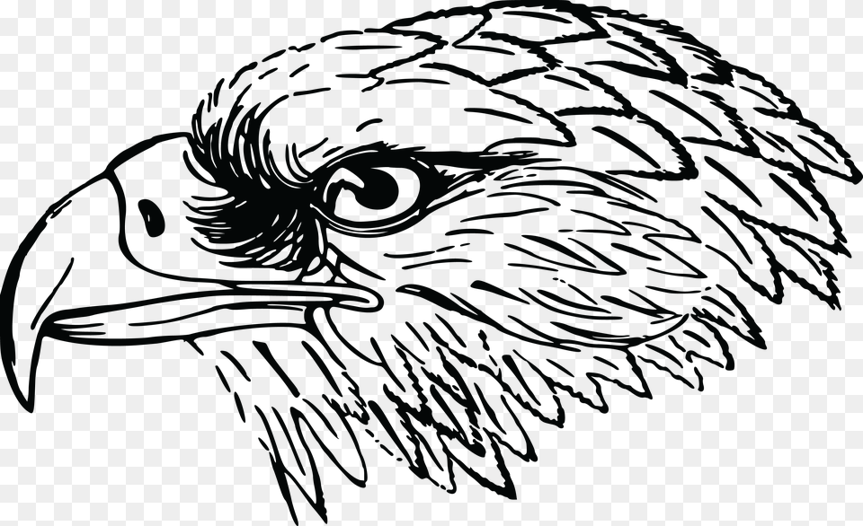 Cute Eagle Black And White Falcon Clipart Black And White, Animal, Beak, Bird, Blackboard Free Transparent Png