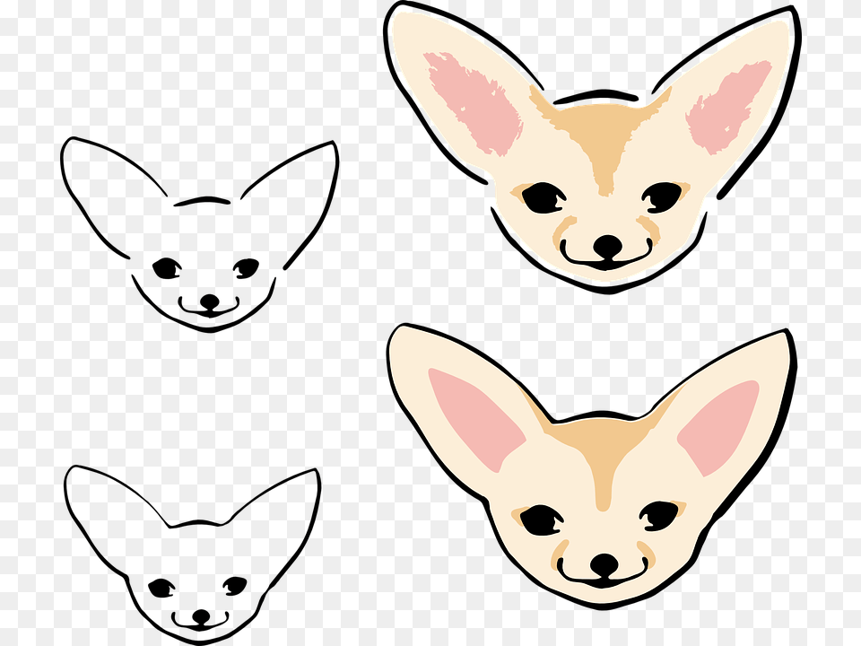Cute Fennek Fox Puppy Design Hand Drawn Charming Fennec Fox, Animal, Canine, Chihuahua, Dog Free Transparent Png