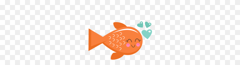 Cute Fish Clipart, Animal, Sea Life, Baby, Person Free Png Download