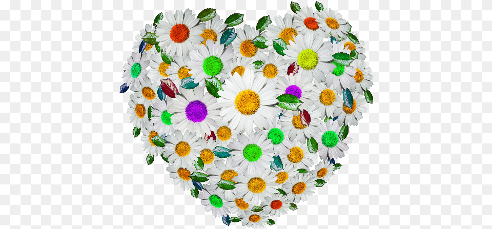 Cute Floral Heart Image Circle, Daisy, Flower, Flower Arrangement, Flower Bouquet Free Png Download