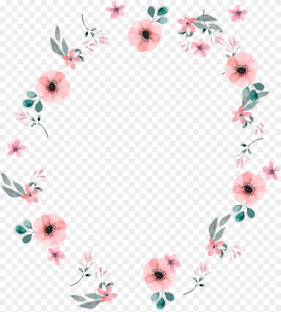 Cute Flower Circle Border, Plant, Petal, Pattern Png