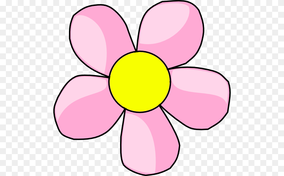 Cute Flowers Clipart, Anemone, Daisy, Flower, Petal Free Transparent Png