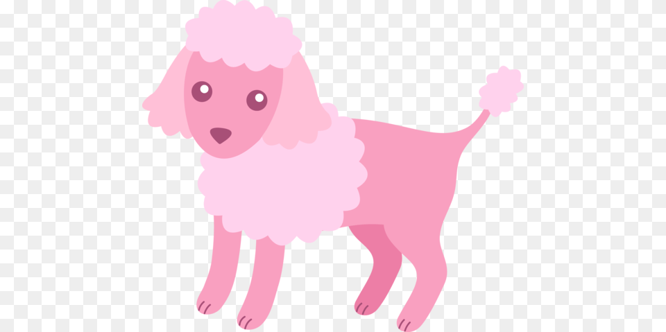 Cute Fluffy Pink Poodle, Baby, Person, Animal, Pet Free Png Download