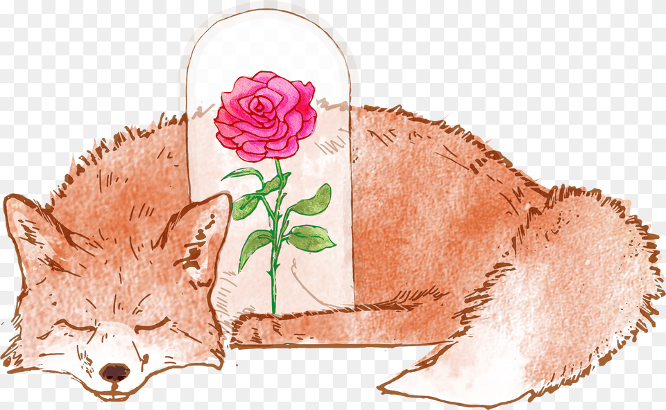 Cute Fox, Flower, Petal, Plant, Rose Free Transparent Png