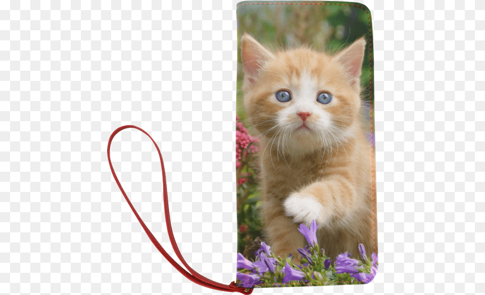 Cute Ginger Kitten Funny Baby Pet Animal In A Garden Cute Ginger Kitten, Cat, Mammal, Flower, Plant Free Png