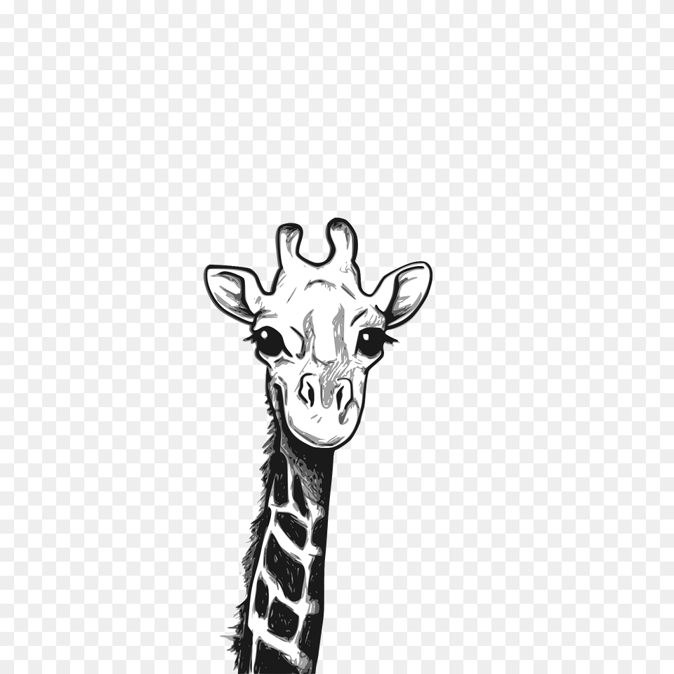 Cute Giraffe Head Black And White Clipart, Animal, Antelope, Mammal, Wildlife Png