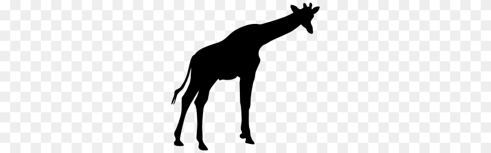 Cute Giraffe Silhouette Sticker, Animal, Mammal, Kangaroo Png Image