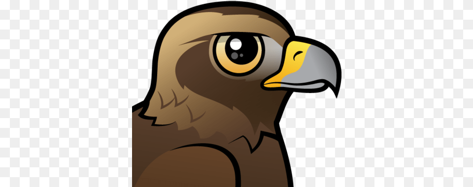 Cute Golden Eagle By Birdorable U003c Meet The Birds Golden Eagle Cartoon Eagle Head, Animal, Beak, Bird, Appliance Free Transparent Png