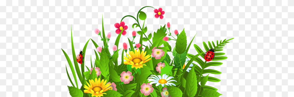 Cute Grass And Flowers, Plant, Pattern, Graphics, Flower Png Image