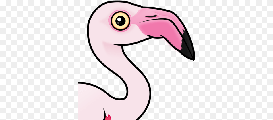 Cute Greater Flamingo By Birdorable U003c Meet The Birds Flamingo Birdorable, Animal, Beak, Bird, Mammal Png