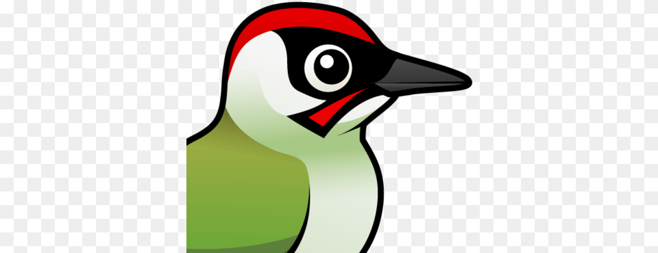 Cute Green Woodpecker By Birdorable U003c Meet The Birds Green Woodpecker Cartoon, Animal, Beak, Bird, Finch Free Png