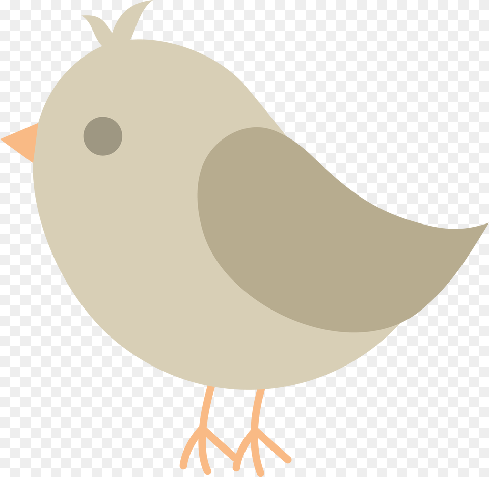 Cute Grey Bird, Animal, Quail Free Transparent Png