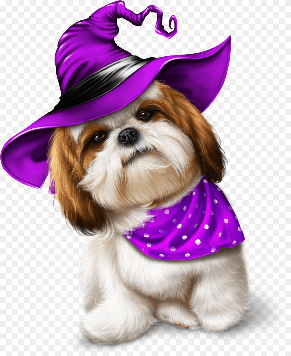 Cute Halloween Cat Clipart Shih Tzu Halloween, Hat, Clothing, Pet, Mammal Free Png