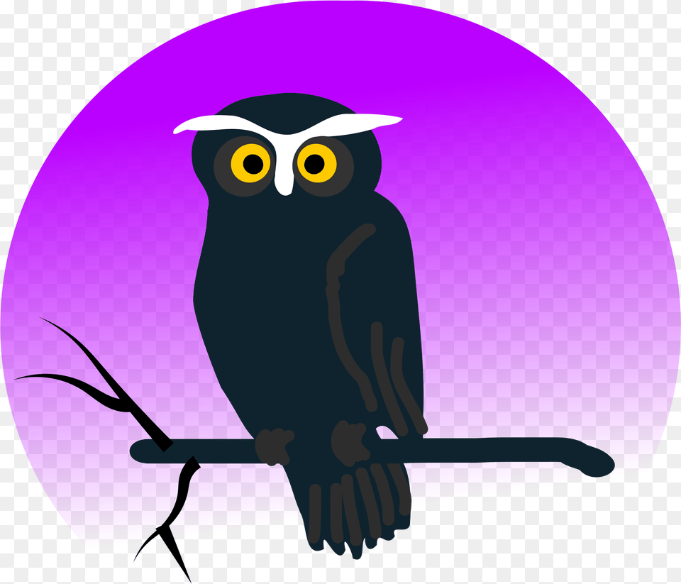 Cute Halloween Owl Clipart, Animal, Bird, Clothing, Hat Free Transparent Png