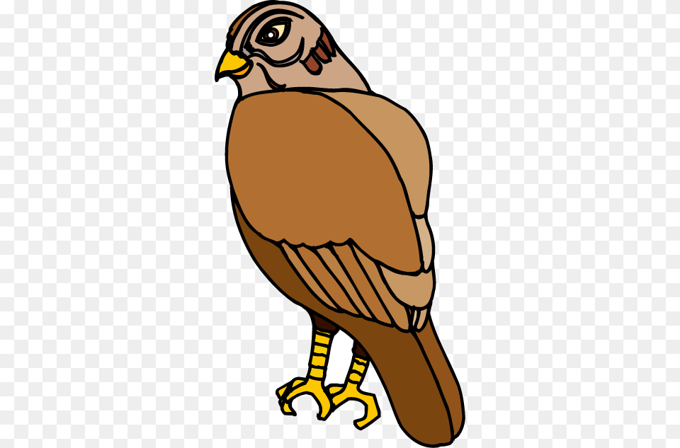 Cute Hawk Cliparts, Animal, Bird, Adult, Person Free Png Download