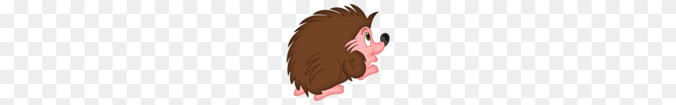 Cute Hedgehog Clipart Clip Art, Baby, Person, Animal, Mammal Png