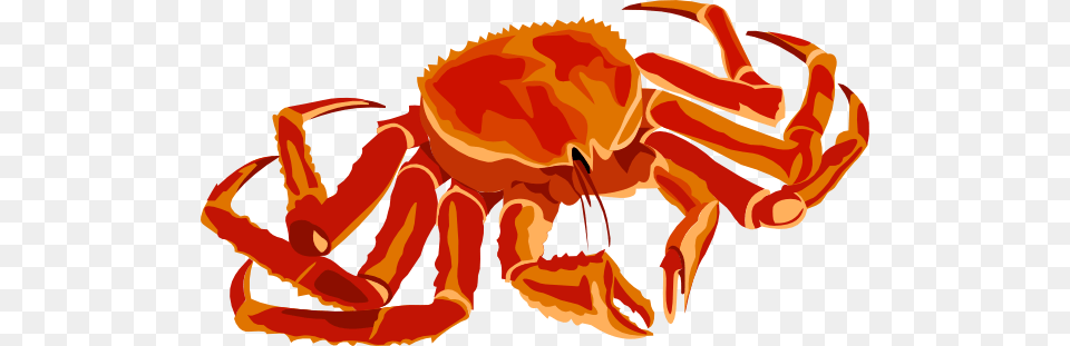 Cute Hermit Crab Clipart, Food, Seafood, Animal, Invertebrate Png