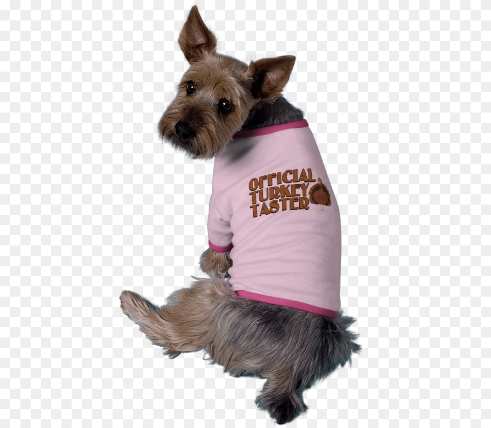 Cute Holiday Pet Shirt Official Turkey Taster It39s So Hard To Be Me, Animal, Canine, Dog, Mammal Png Image