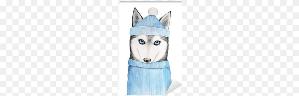 Cute Husky Dog In A Blue Winter Hat And Warm Sweater Sweater, Animal, Canine, Mammal, Pet Png Image