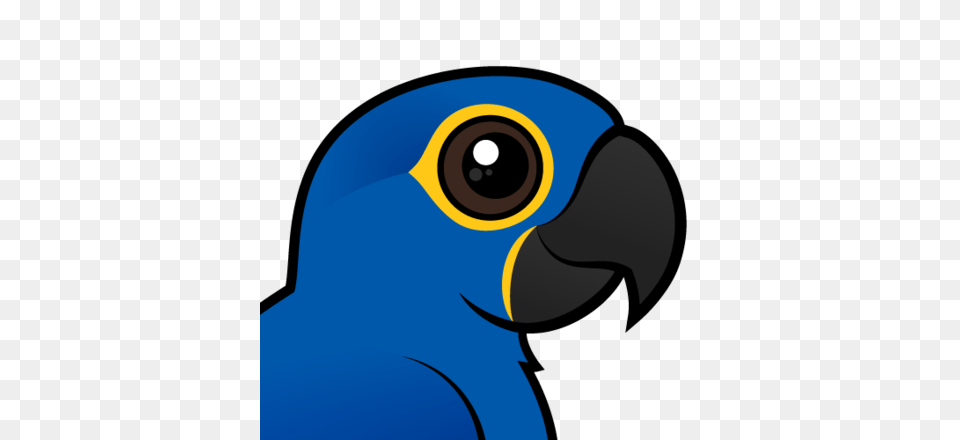Cute Hyacinth Macaw, Animal, Beak, Bird Free Png Download