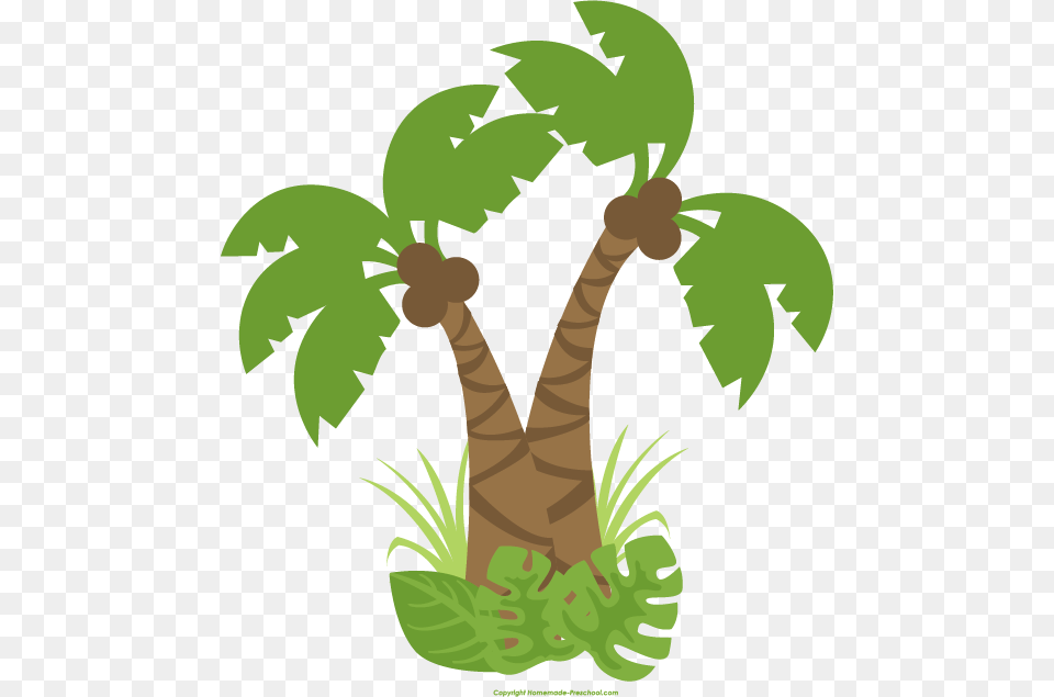 Cute Jungle Clipart, Leaf, Palm Tree, Plant, Tree Free Png Download
