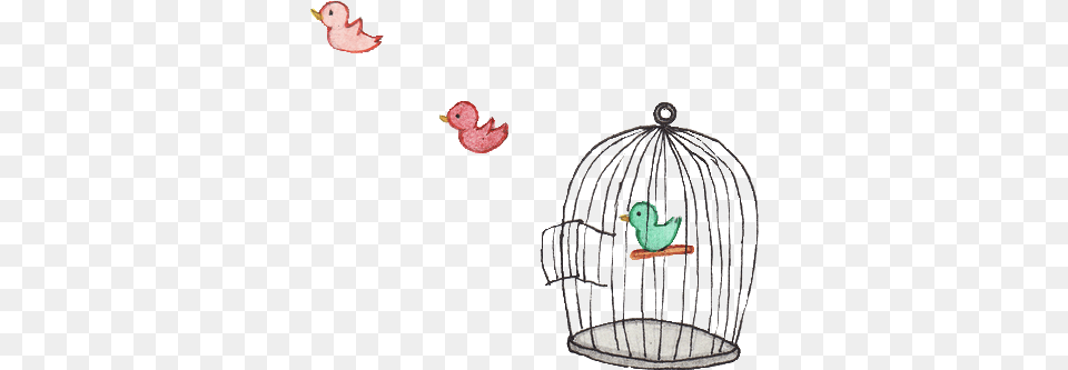 Cute Kawaii Animals Cute Kawaii Animal, Bird, Finch Free Png