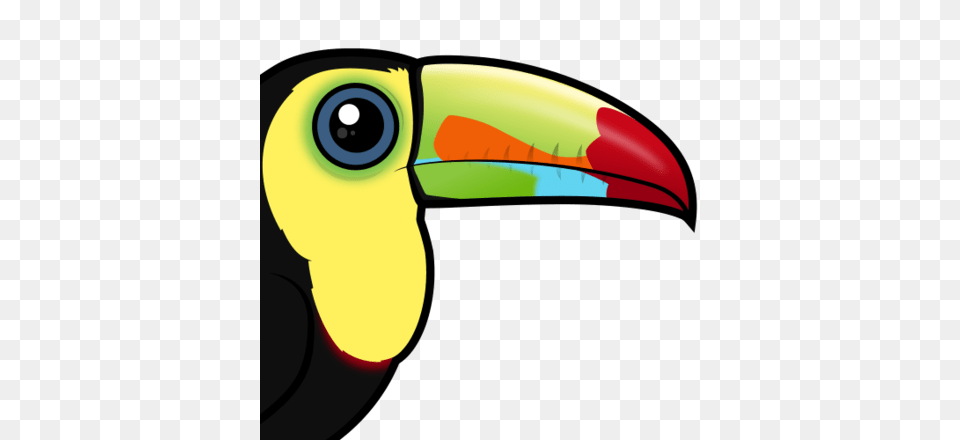 Cute Keel Billed Toucan, Animal, Beak, Bird, Appliance Png