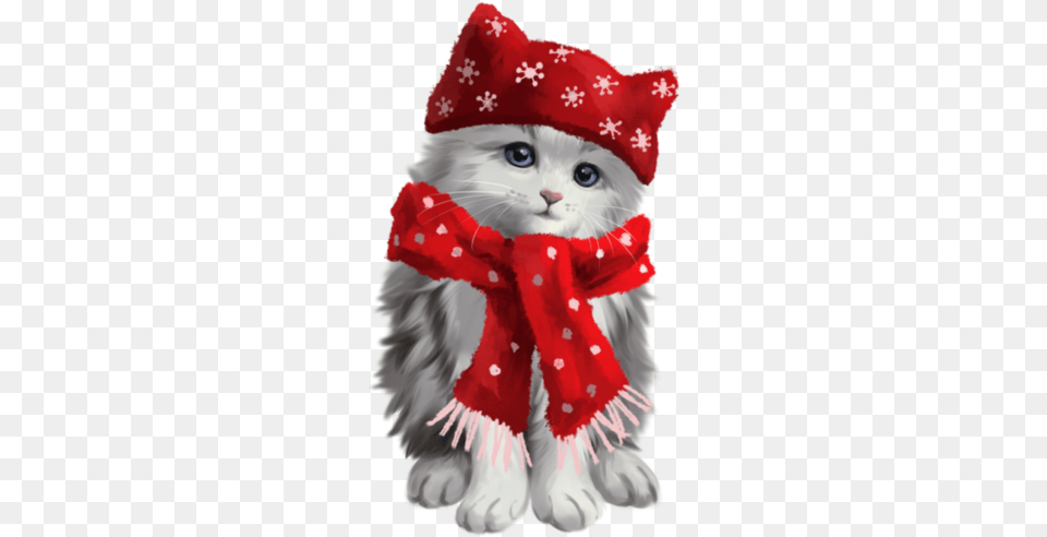 Cute Kitty Kitten Cat Grey White Red Scarf Kitten, Baby, Person, Animal, Mammal Png