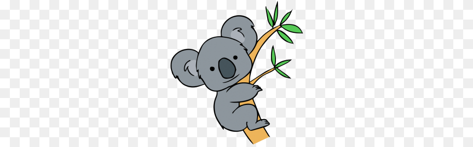 Cute Koala On Tree Branch, Animal, Wildlife, Mammal, Snowman Free Png