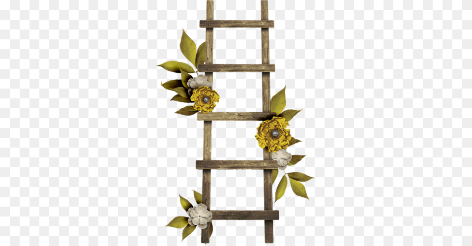 Cute Ladder, Flower, Flower Arrangement, Plant, Accessories Free Png