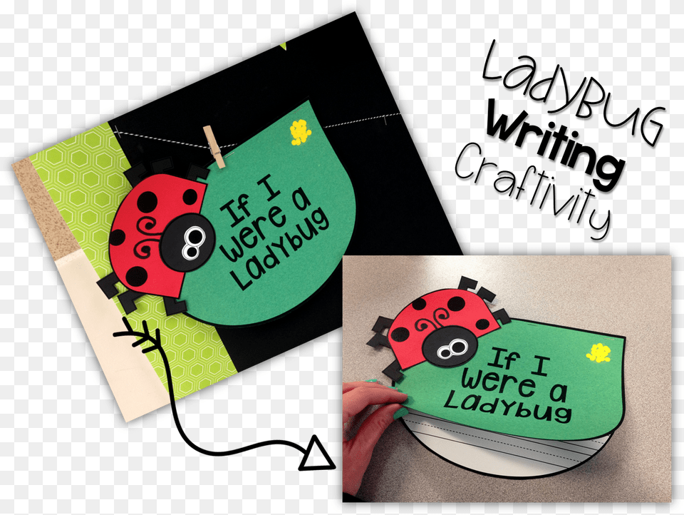 Cute Ladybug, Envelope, Mail, Greeting Card, Advertisement Free Transparent Png