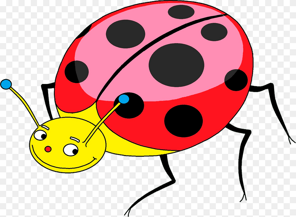 Cute Ladybug Clipart, Animal, Bear, Mammal, Wildlife Png
