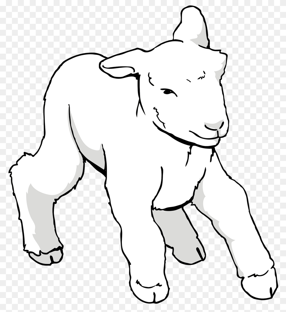 Cute Lamb Clipart, Baby, Person, Face, Head Png