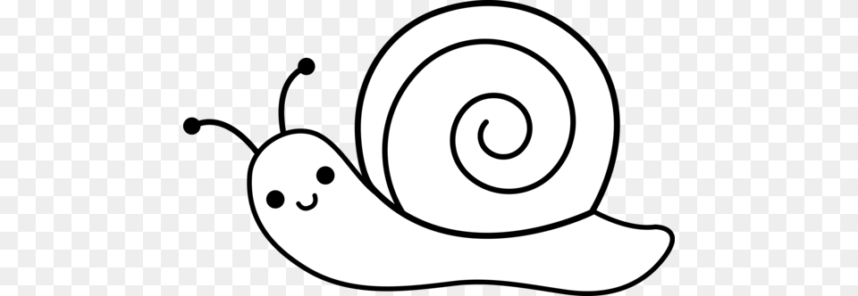 Cute Line Drawings, Animal, Invertebrate, Snail Png Image