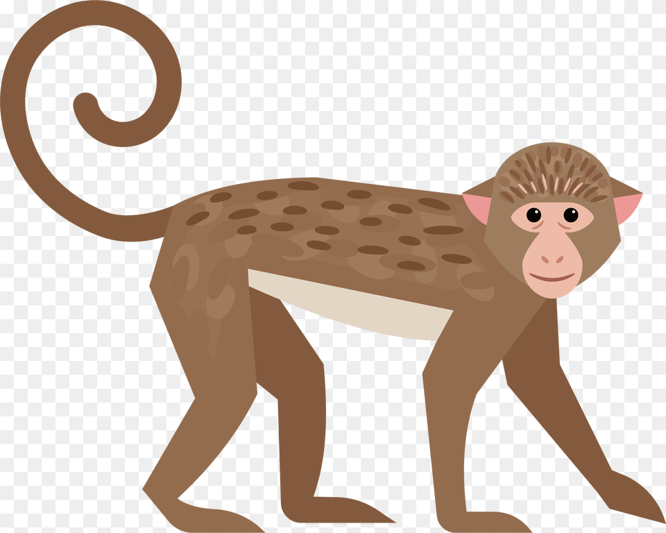 Cute Little Transprent Monkey, Animal, Mammal, Wildlife, Baboon Png