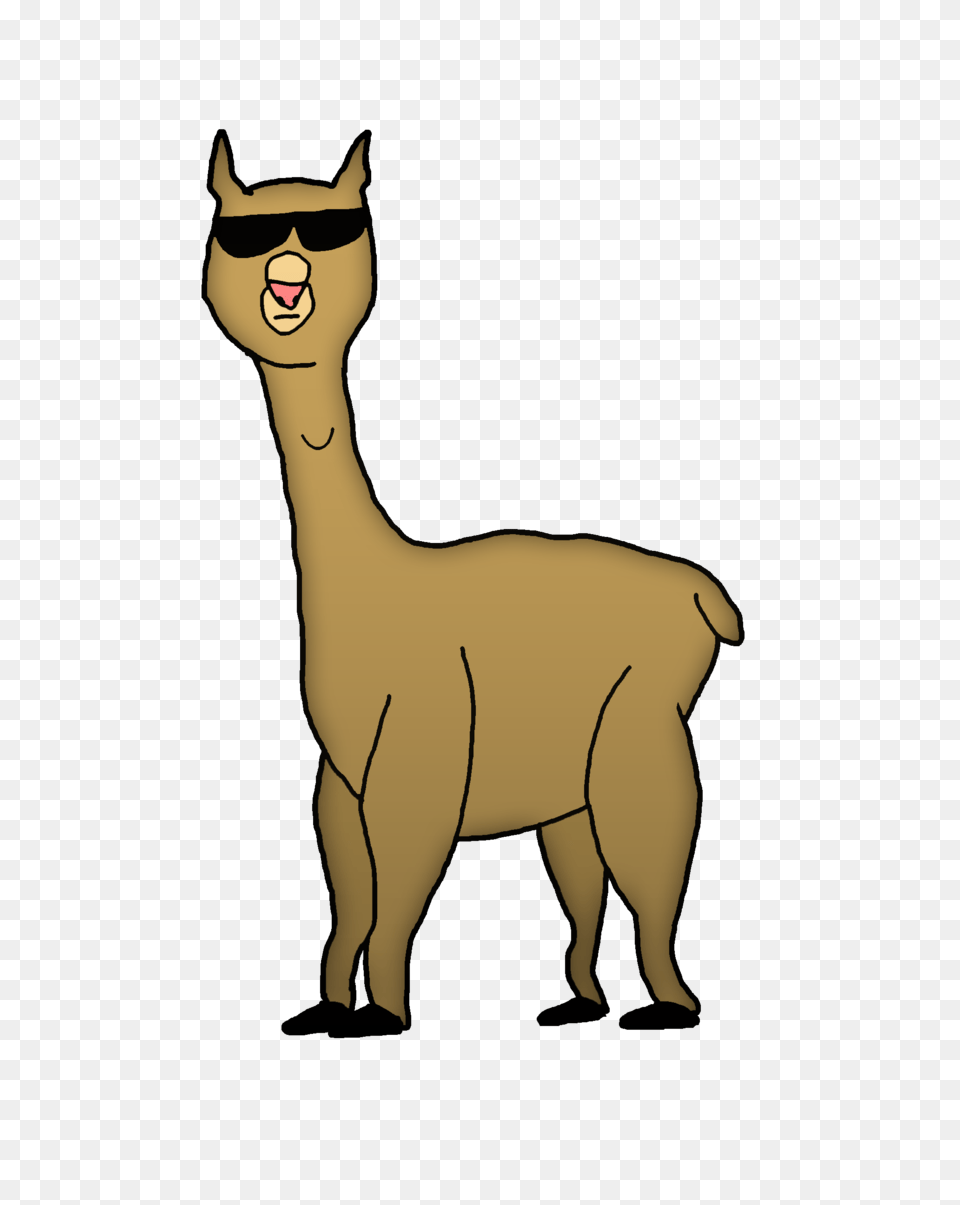 Cute Llama Clip Art Person, Animal, Mammal, Face Free Png Download