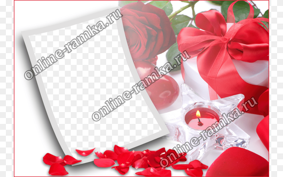 Cute Love Frames For Photos Coloringsite Co Love Frame Hd, Flower, Petal, Plant, Rose Png